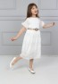 Belted Lace Dress